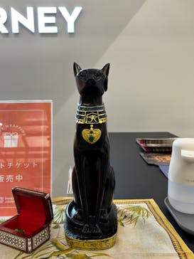 IMMERSIVE JOURNEYに投稿された画像（2025/4/16）