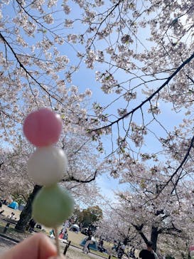 万博記念公園に投稿された画像（2025/4/16）