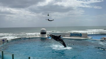 鴨川シーワールドに投稿された画像（2025/4/16）