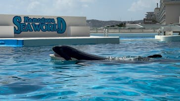 鴨川シーワールドに投稿された画像（2025/4/16）