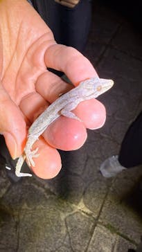 宮古島マリンショップSmileyに投稿された画像（2025/4/16）