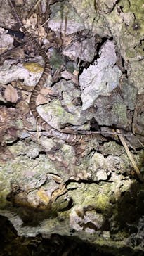 宮古島マリンショップSmileyに投稿された画像（2025/4/16）