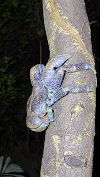 宮古島マリンショップSmileyに投稿された画像（2025/4/16）