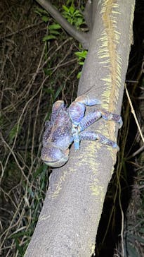 宮古島マリンショップSmileyに投稿された画像（2025/4/16）