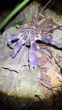 宮古島マリンショップSmileyに投稿された画像（2025/4/16）