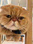 Moff animal world BIGHOPガーデンモール印西店に投稿された画像（2025/4/16）