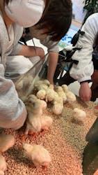 Moff animal world BIGHOPガーデンモール印西店に投稿された画像（2025/4/16）