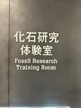 福井県立恐竜博物館に投稿された画像（2025/4/17）