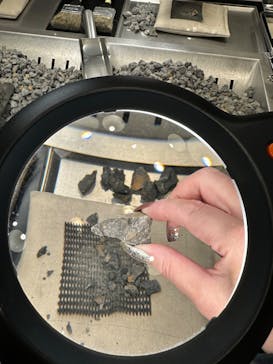 福井県立恐竜博物館に投稿された画像（2025/4/16）