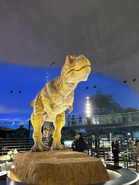 福井県立恐竜博物館に投稿された画像（2025/4/16）