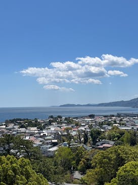 小田原城に投稿された画像（2025/4/16）