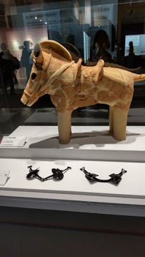 特別展「古代DNA－日本人のきた道」（国立科学博物館）に投稿された画像（2025/4/16）