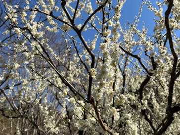 名古屋市東山動植物園に投稿された画像（2025/4/16）