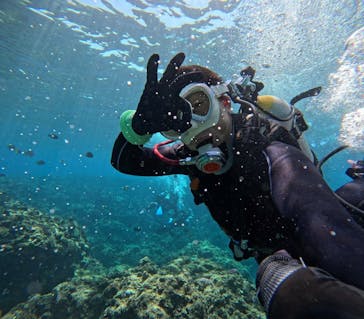 DIVING-SHOP SUNSに投稿された画像（2025/4/16）