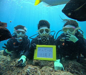 DIVING-SHOP SUNSに投稿された画像（2025/4/16）