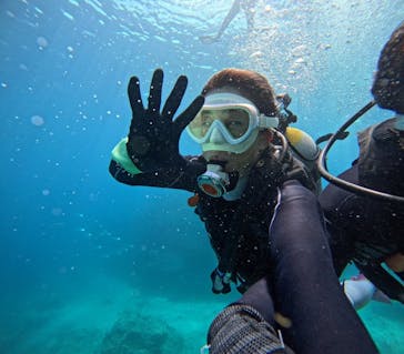 DIVING-SHOP SUNSに投稿された画像（2025/4/16）