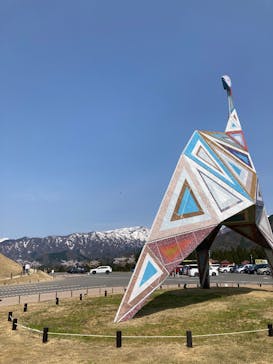 福井県立恐竜博物館に投稿された画像（2025/4/17）