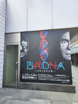 特別展「古代DNA－日本人のきた道」（国立科学博物館）に投稿された画像（2025/4/17）