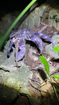 宮古島マリンショップSmileyに投稿された画像（2025/4/17）