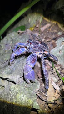 宮古島マリンショップSmileyに投稿された画像（2025/4/17）