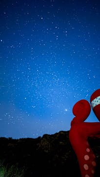 宮古島マリンショップSmileyに投稿された画像（2025/4/17）