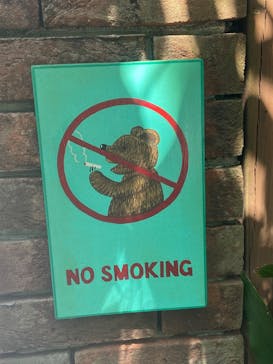 伊豆テディベア・ミュージアムに投稿された画像（2025/4/17）