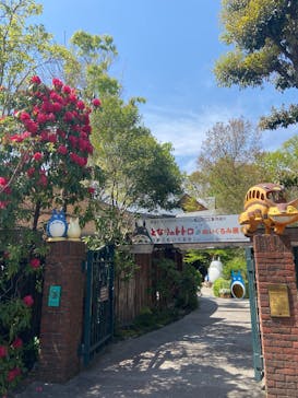 伊豆テディベア・ミュージアムに投稿された画像（2025/4/17）