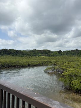 西表島ツアーNGAF（エヌジーエーエフ）に投稿された画像（2025/4/17）