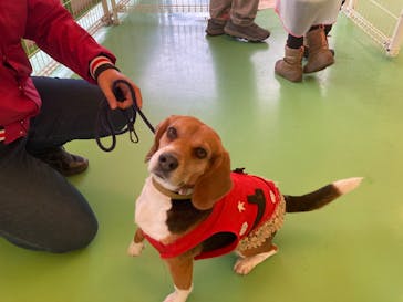 つくばわんわんランドに投稿された画像（2025/4/17）