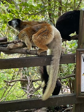 長崎バイオパークに投稿された画像（2025/4/17）