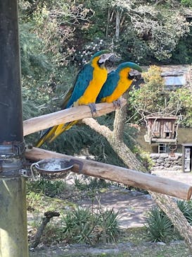 長崎バイオパークに投稿された画像（2025/4/17）