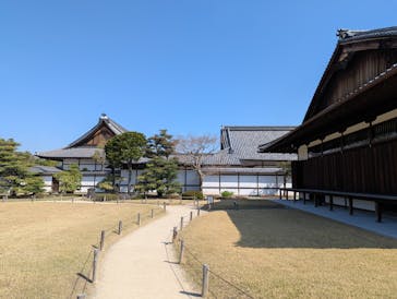 元離宮二条城に投稿された画像（2025/4/17）