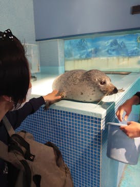 下田海中水族館に投稿された画像（2025/4/17）