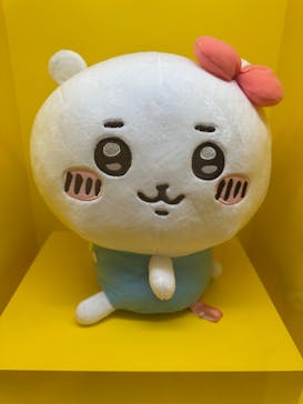 沖縄県立博物館・美術館〔おきみゅー〕に投稿された画像（2025/4/17）