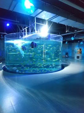 AQUARIUM × ART　atoaに投稿された画像（2025/4/17）