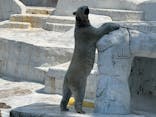 天王寺動物園に投稿された画像（2025/4/17）