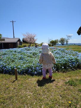 マザー牧場に投稿された画像（2025/4/17）