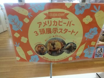 仙台うみの杜水族館に投稿された画像（2025/4/17）