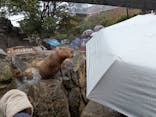 伊豆シャボテン動物公園に投稿された画像（2025/4/18）
