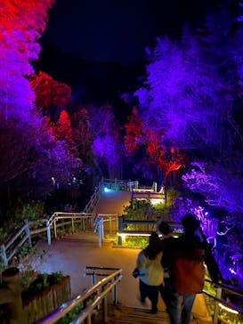 ニジゲンノモリに投稿された画像（2025/4/17）