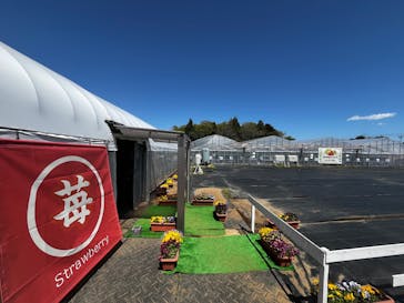 Strawberry Farm シャインベリーに投稿された画像（2025/4/17）