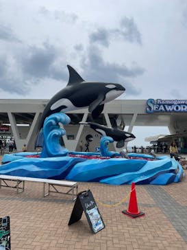 鴨川シーワールドに投稿された画像（2025/4/18）