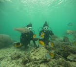 沖縄マリンサービス碧に投稿された画像（2025/4/18）