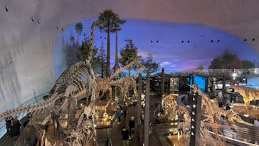 福井県立恐竜博物館に投稿された画像（2025/4/18）