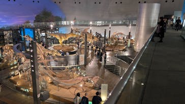 福井県立恐竜博物館に投稿された画像（2025/4/18）