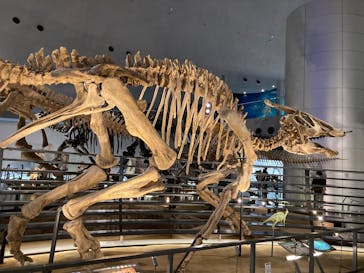 福井県立恐竜博物館に投稿された画像（2025/4/18）