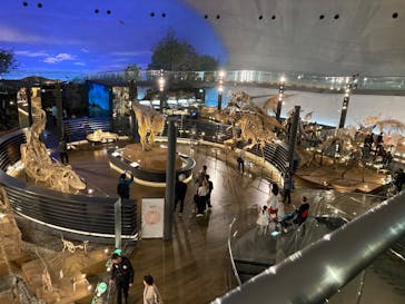 福井県立恐竜博物館に投稿された画像（2025/4/18）