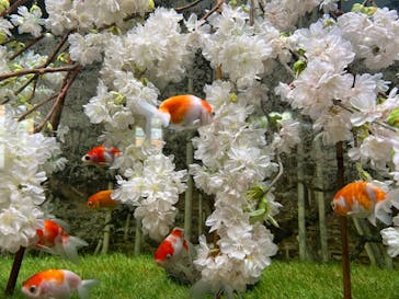 世界淡水魚園水族館　アクア・トトぎふに投稿された画像（2025/4/18）