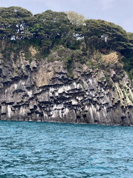 東尋坊観光遊覧船株式会社に投稿された画像（2025/4/18）