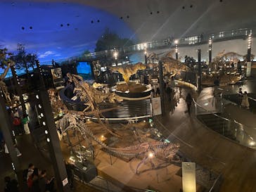 福井県立恐竜博物館に投稿された画像（2025/4/18）